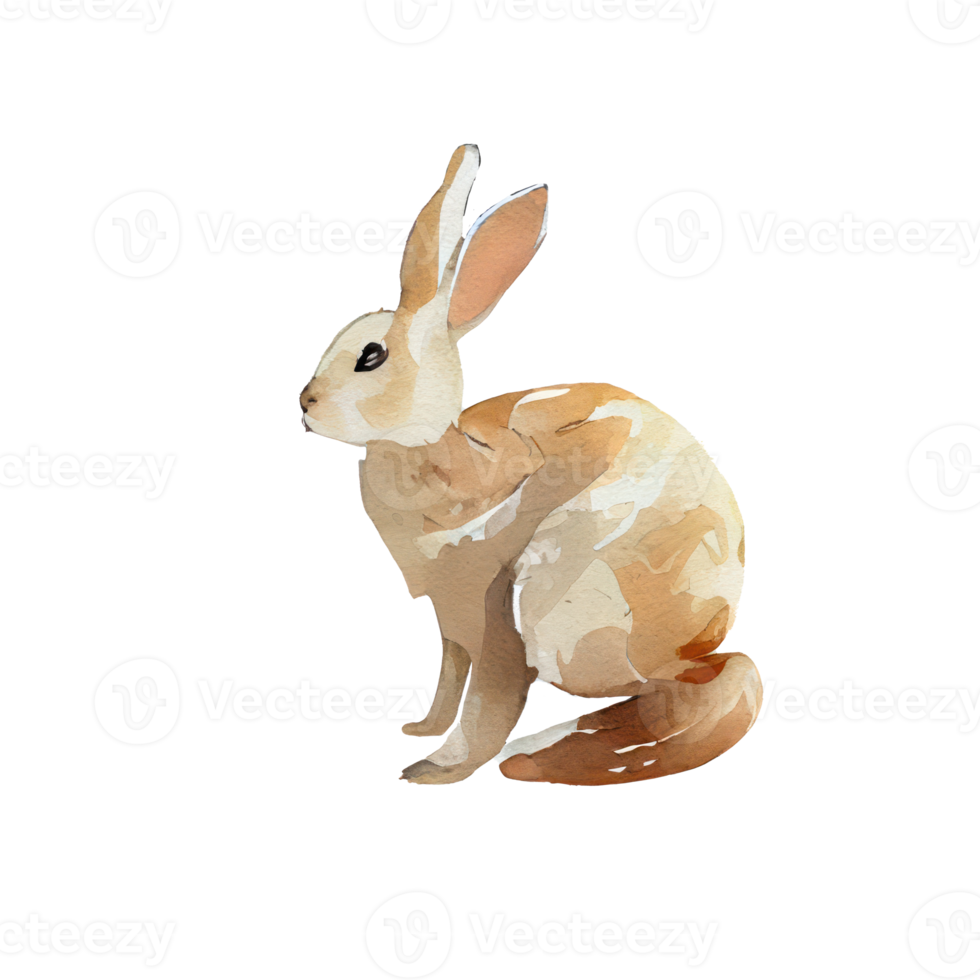 Vintage Watercolor Rabbit png