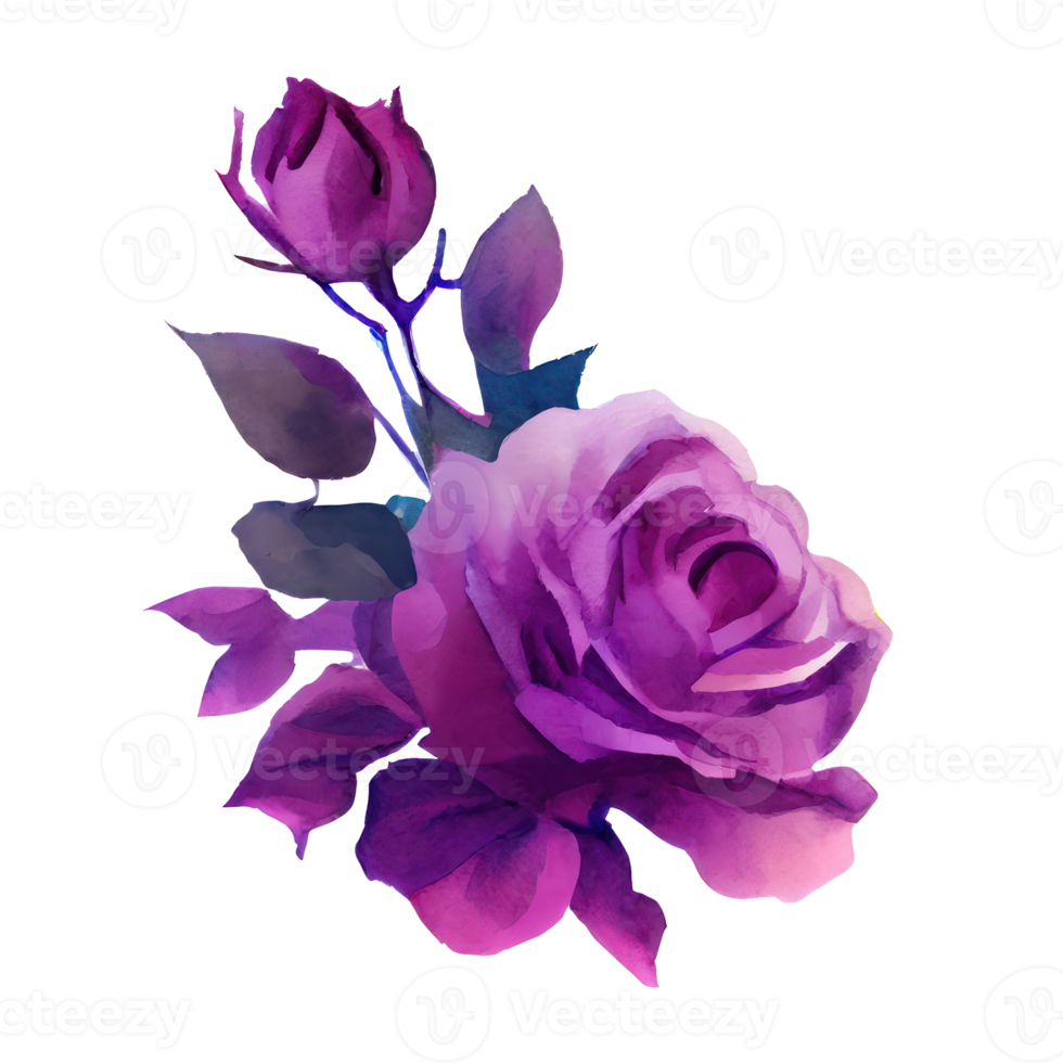 Illustration of watercolor roses png