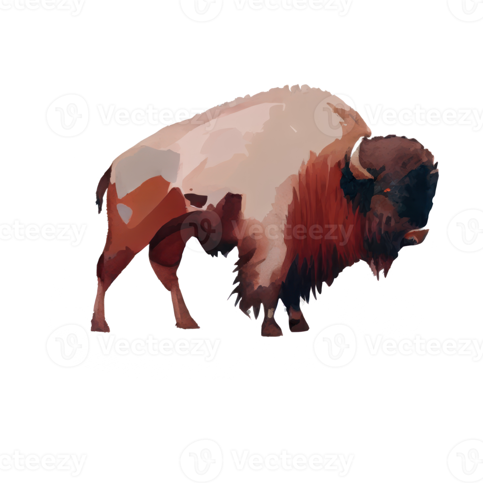 Vintage Watercolor Bison png