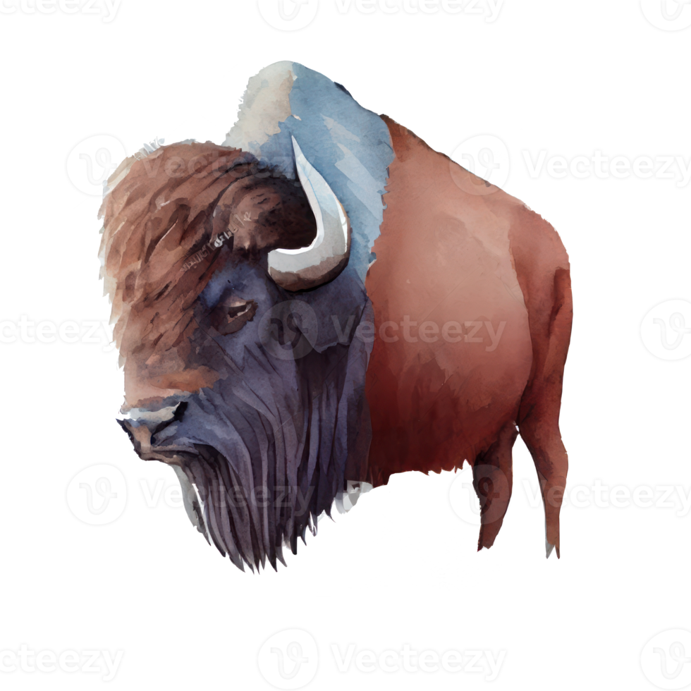 ancien aquarelle bison png