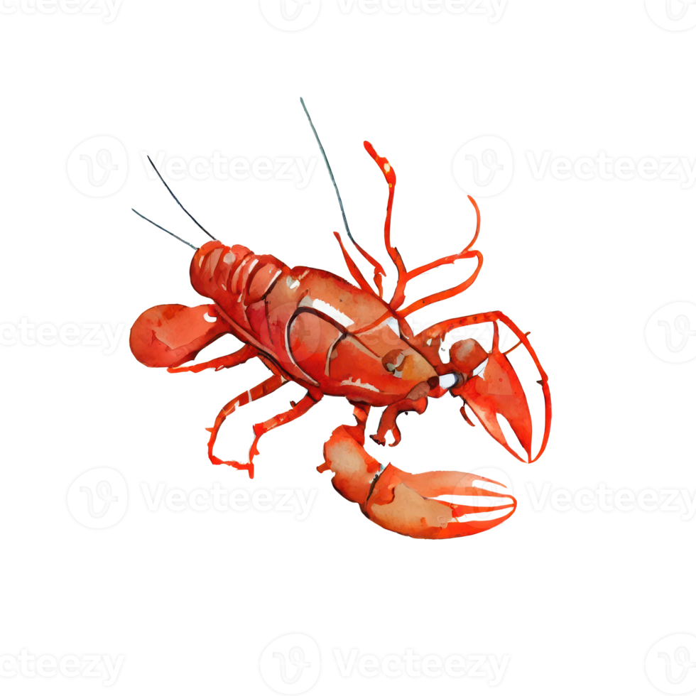 wijnoogst waterverf kreeft png