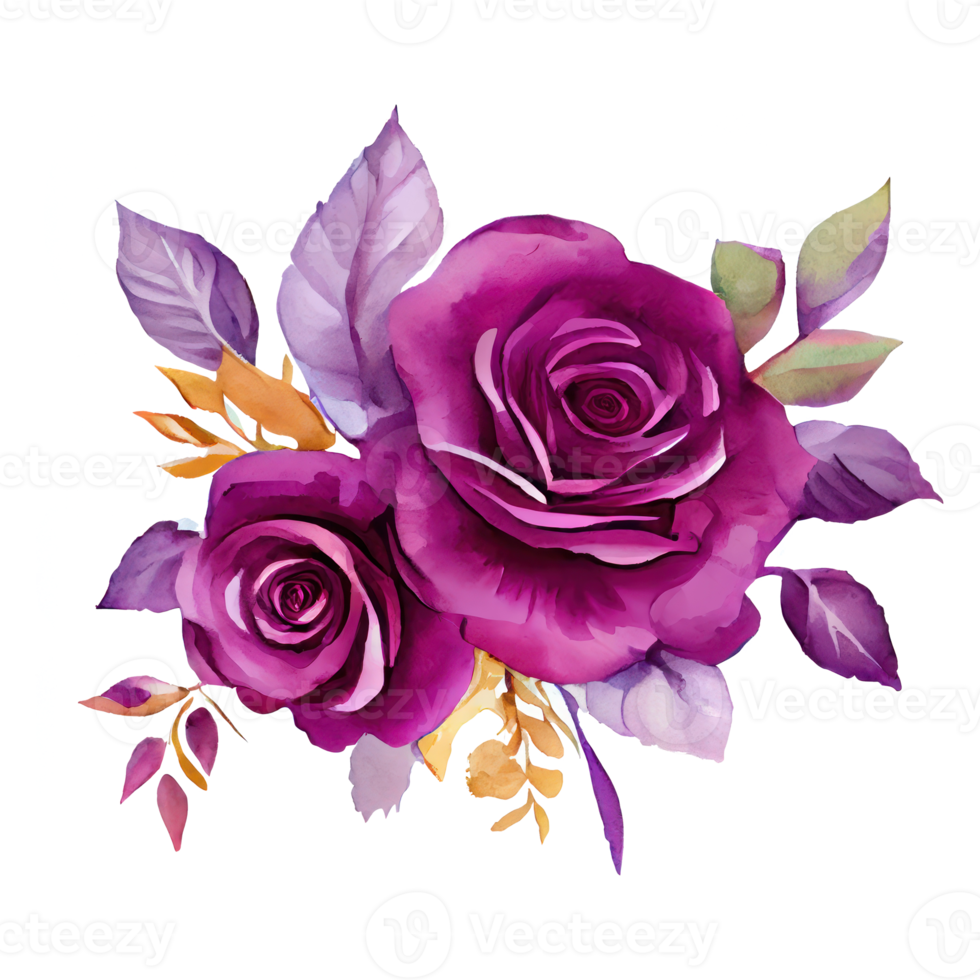 Illustration of watercolor roses png