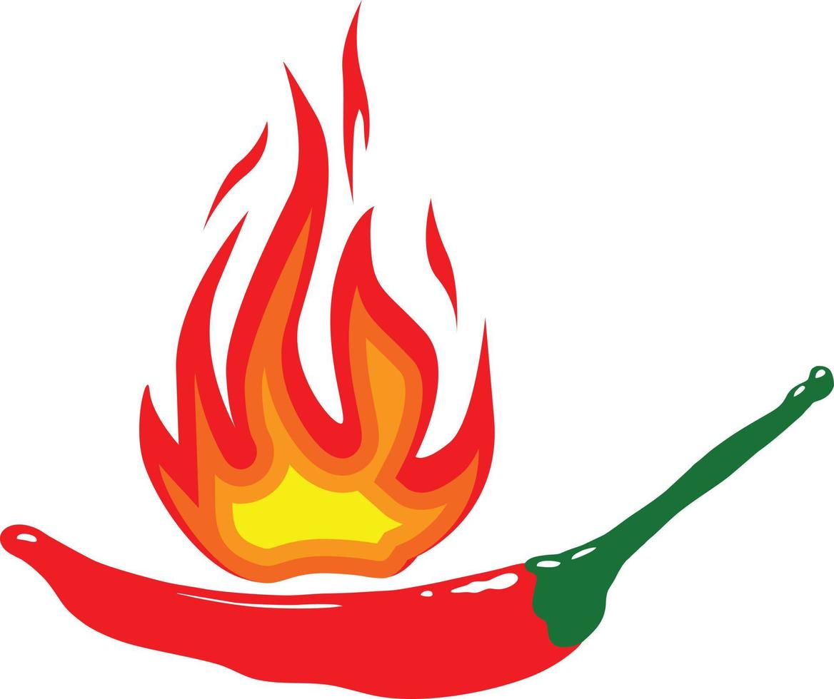 Flame spicy hot fire vector