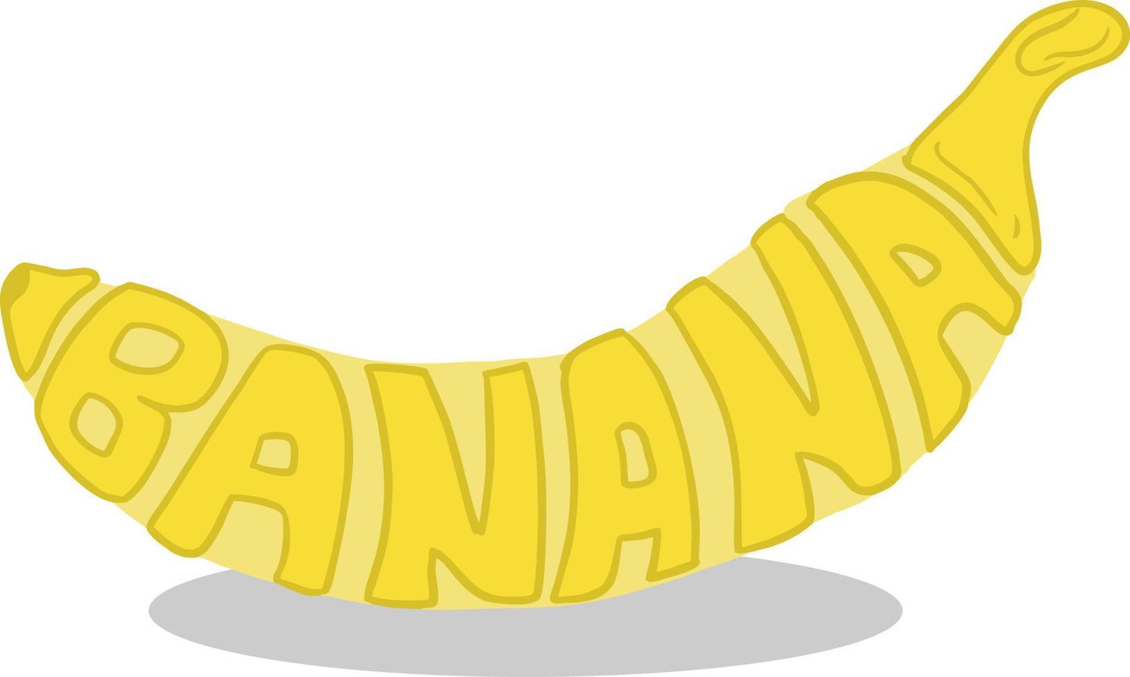 Banana Fruit vector image illustrations