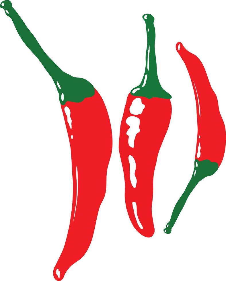 Hot spicy chili paper vector image