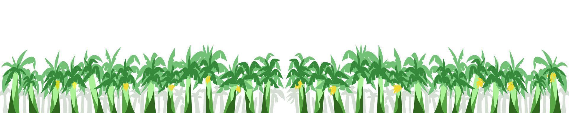 Background illustration with lots of banana trees vector
