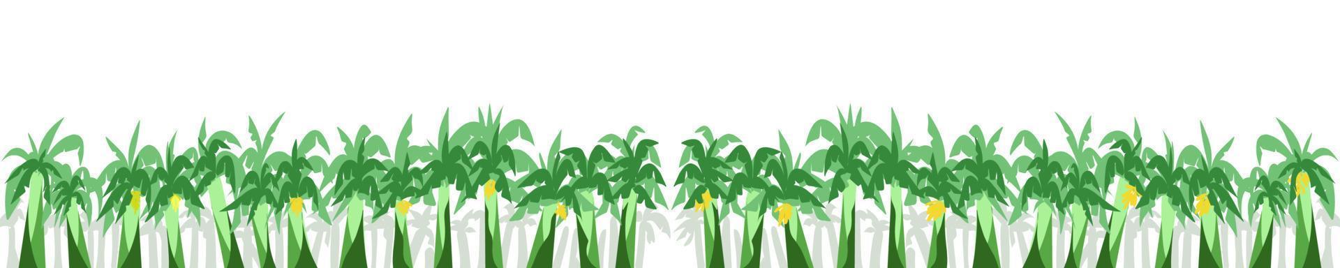 Background illustration with lots of banana trees vector