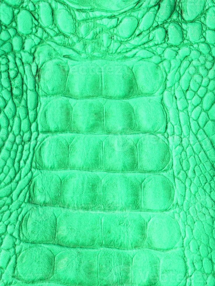 Crocodile skin background photo