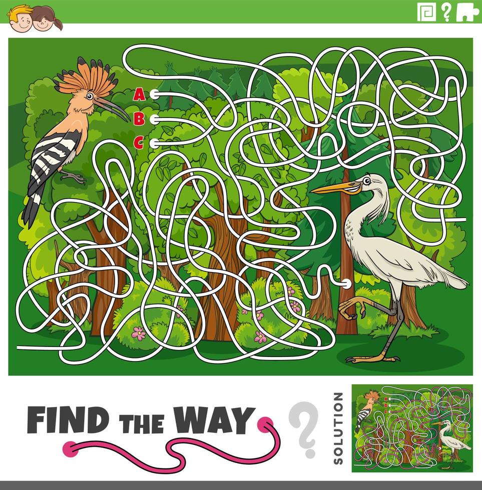 find the way maze game with cartoon hoopoe and egret birds vector