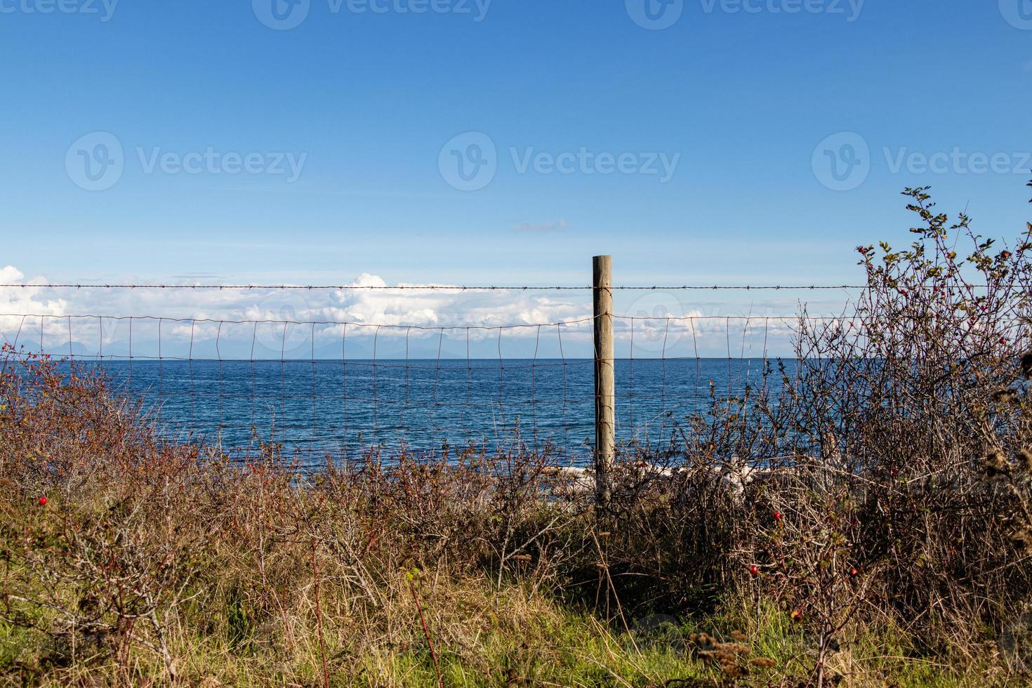 looking through a fence at the ocean photo