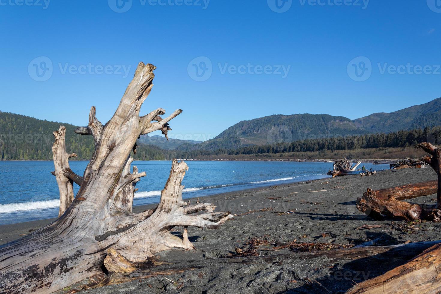 madera flotante en el apuntalar de el Oceano cerca el montañas foto