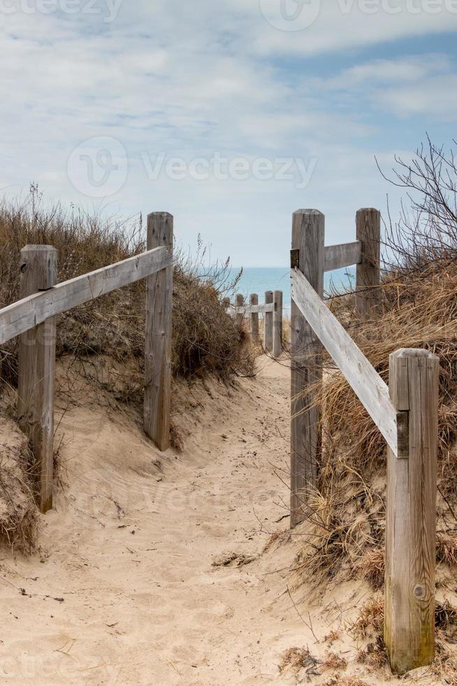 Sandy path to the beach photo