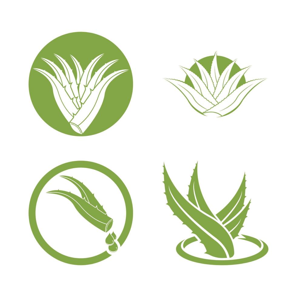 Aloe Vera logo icon design symbol beauty vector