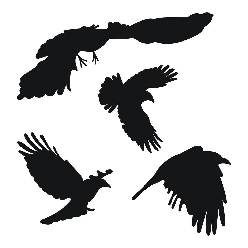 Vector set raven, crow, corvus flight, different pack of bird silhouettes hand draw. Hover, soaring, landing, flying, flutter