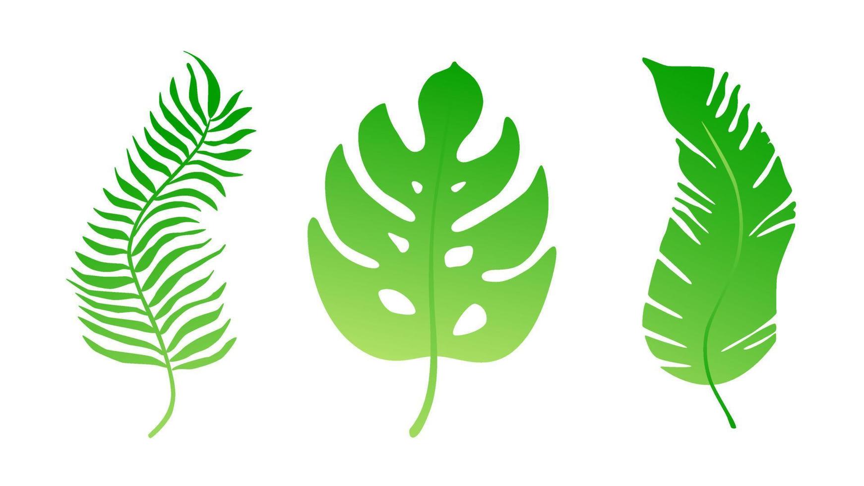 3 Tropical leaves set flat style design vector illustration isolated on white background gradient version