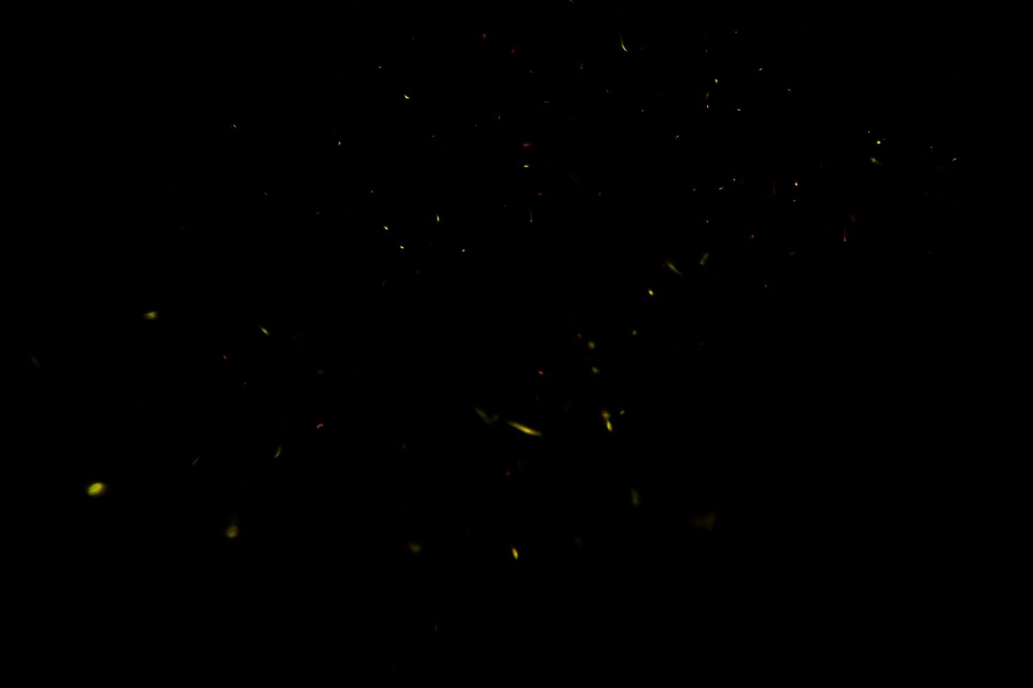 background of abstract glitter lights. gold and black. de focused photo