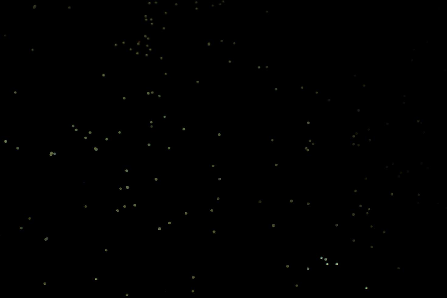 background of abstract glitter lights. gold and black. de focused photo