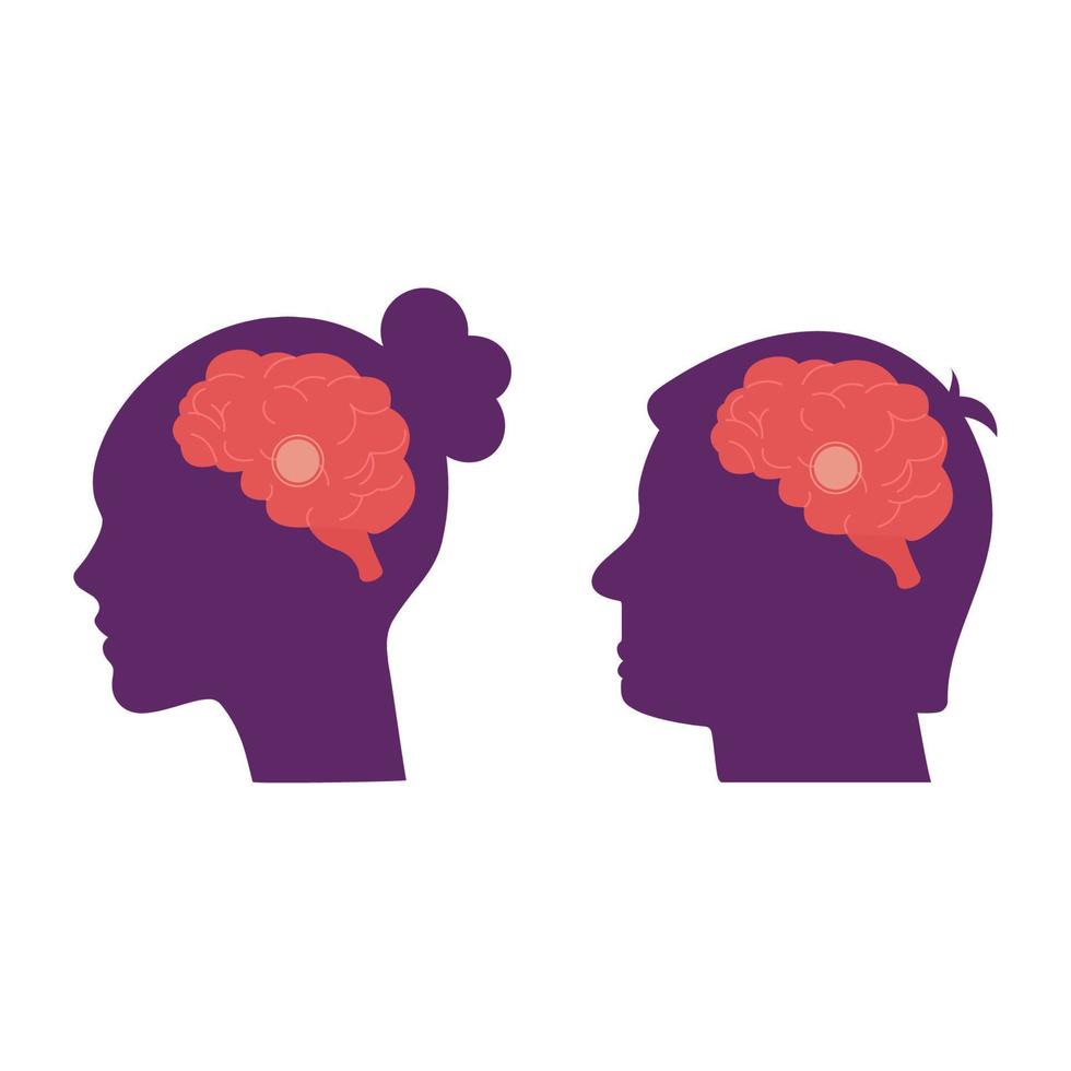 Head silhouette of a woman and a man with a brain in flat style vector