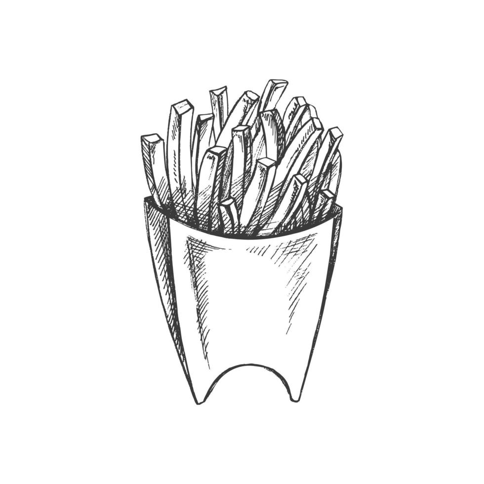 dibujado a mano bosquejo de francés papas fritas en un caja aislado en blanco antecedentes. rápido comida ilustración. Clásico dibujo. elemento para el diseño de etiquetas, embalaje y postales vector