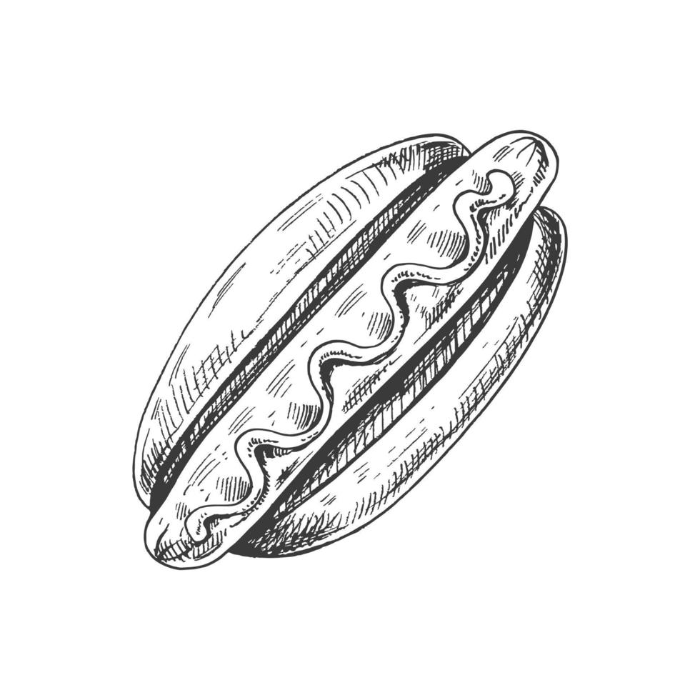 Hand-drawn sketch of  hot dog isolated on white background. Fast food illustration. Vintage drawing. Element for the design of labels, packaging and postcards. vector