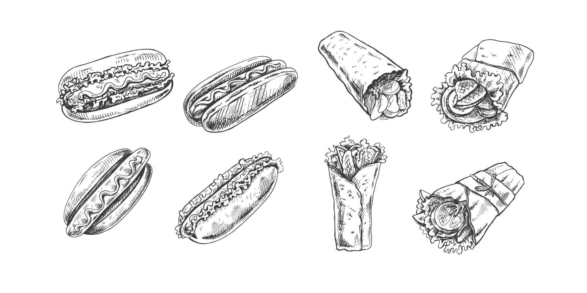 Hot dogs and burritos set. Hand drawn sketch of different hot dogs and  and burritos. Fast food retro vector illustrations collection isolated on white background. Vintage illustration.