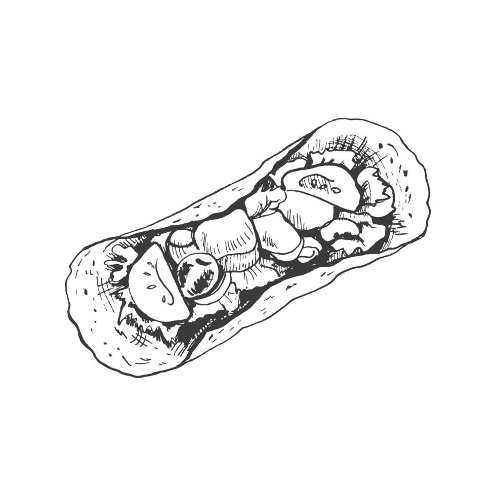 Taco top view. Hand-drawn sketch of taco on white background. Fast food vintage illustration. Element for the design of labels, packaging and postcards vector