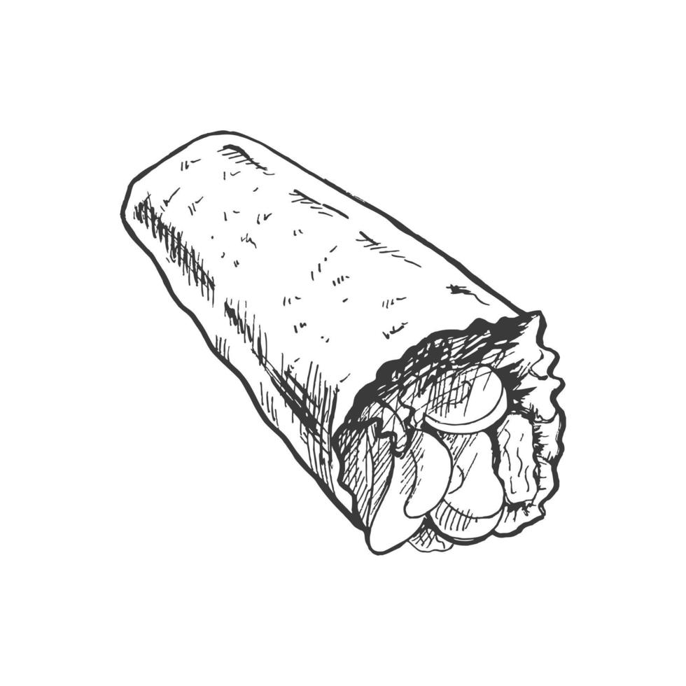 dibujado a mano bosquejo estilo burrito envolver con vegetales y carne piezas aislado en blanco antecedentes. rápido comida ilustración. Clásico dibujo. elemento para el diseño de etiquetas, embalaje y postales vector