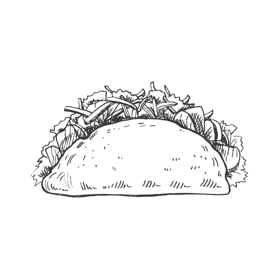 Hand-drawn sketch of taco on white background. Fast food vintage illustration. Element for the design of labels, packaging and postcards vector