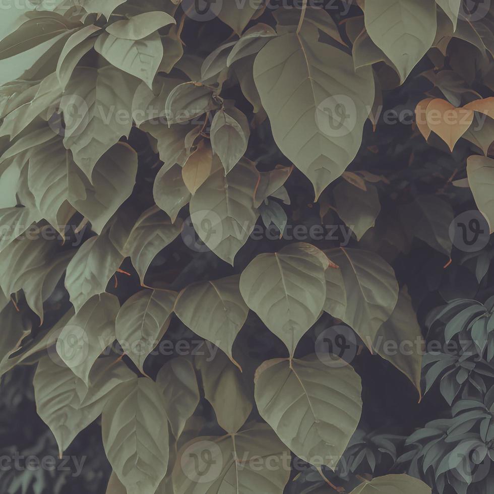 Aesthetic Green Background With Leaves And Plants photo