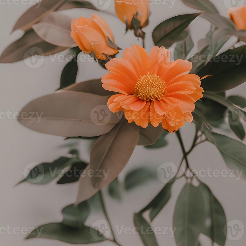 Aesthetic Orange Flower With Leaves. Retro Colors, Minimalistic Composition photo