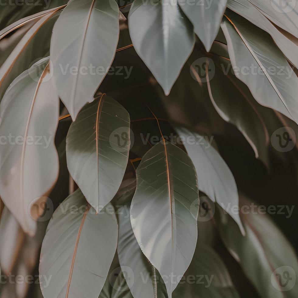 Aesthetic Green Background With Leaves And Plants photo
