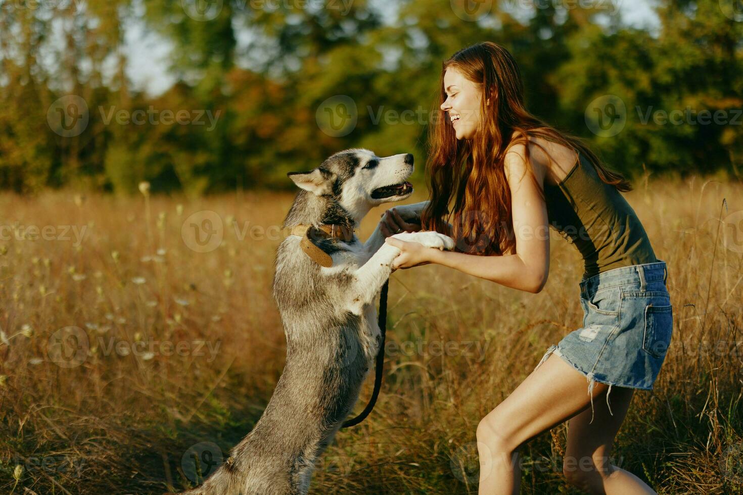 A slender woman plays and dances with a husky breed dog in nature in autumn on a field of grass and smiles at a good evening in the setting sun photo