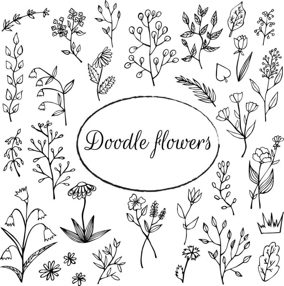 Collection of floral ornaments, floral doodle hand drawn illustration doodle vector illustration