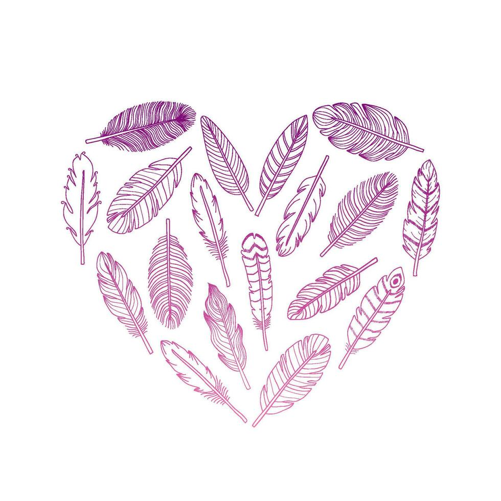 Hand drawn feathers in heart. vector