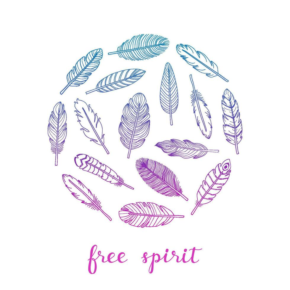 Hand drawn feathers in circle. vector