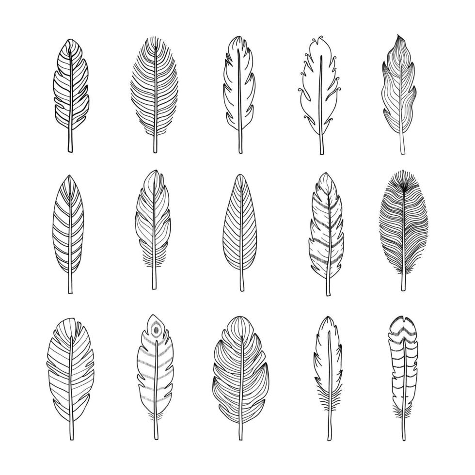 Collection of boho feathers. vector