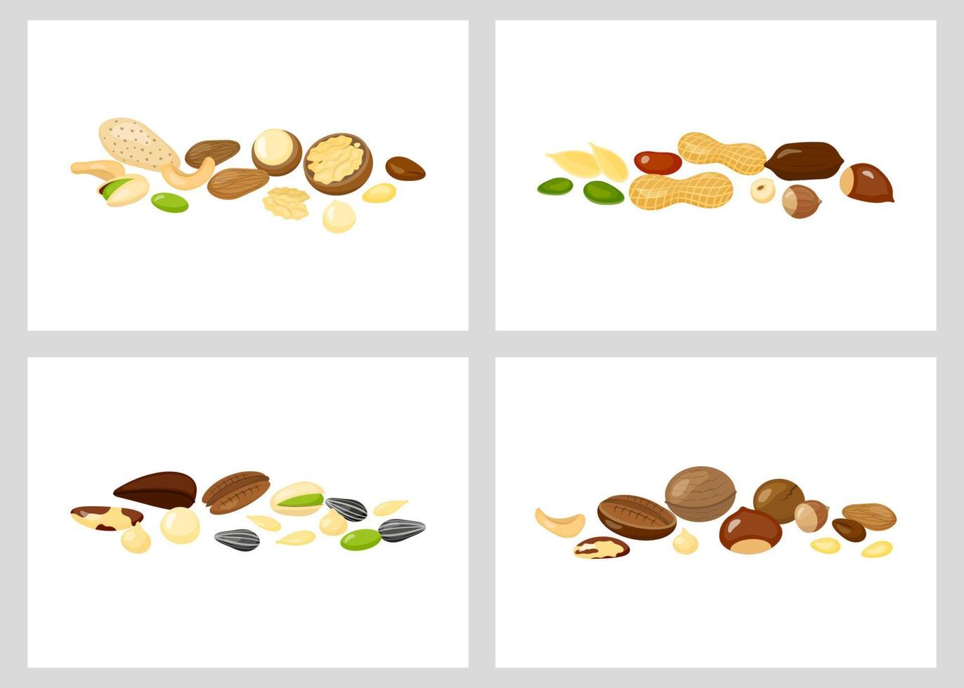 Groups of nuts. vector