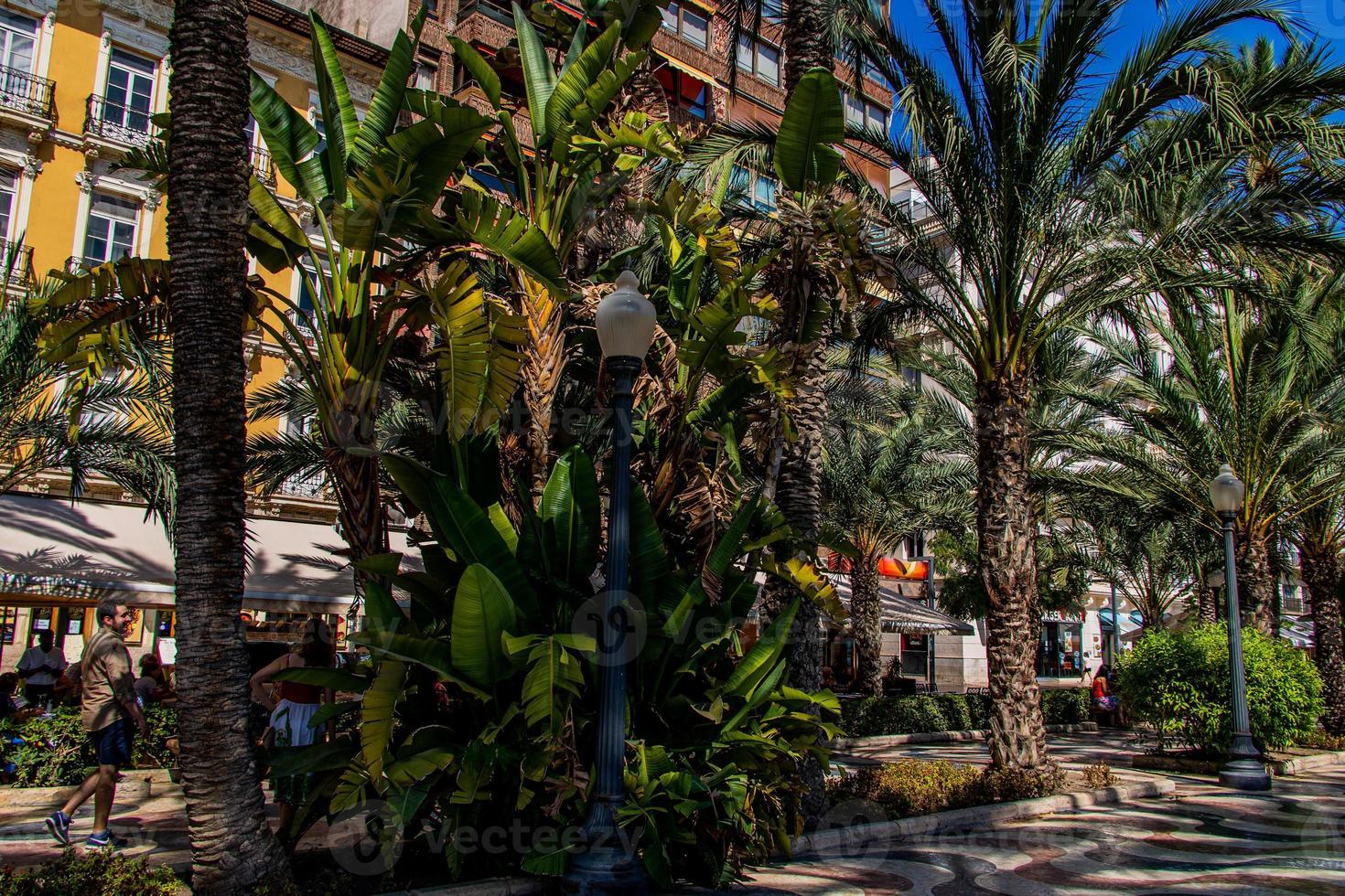 verano paisaje con paseo Delaware la explicada alicante en España foto