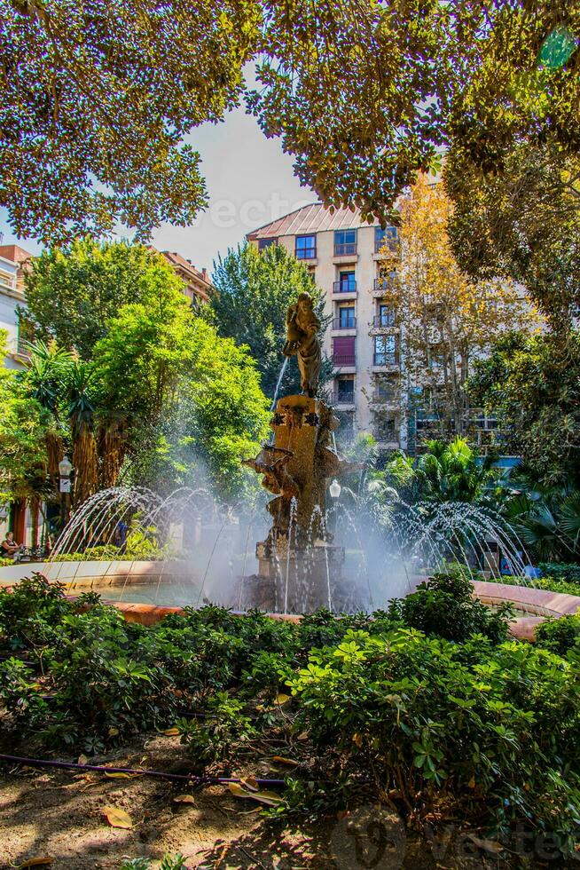 urban summer landscape of Alicante fuente la aguadora with photo and trees in spain