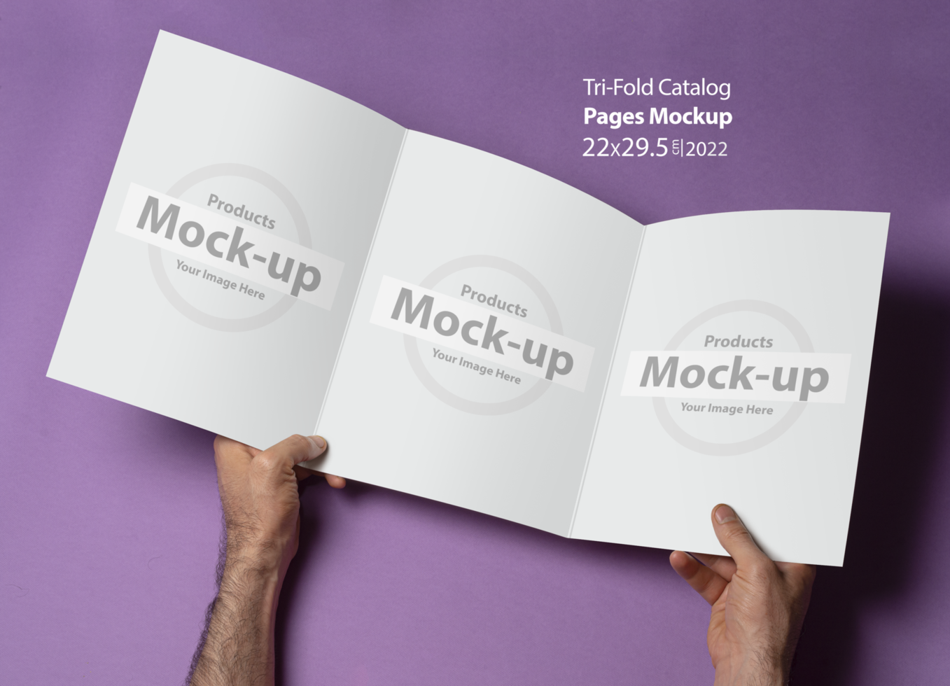 Male hands holding an opened tri-fold catalog with blank pages on purple background psd