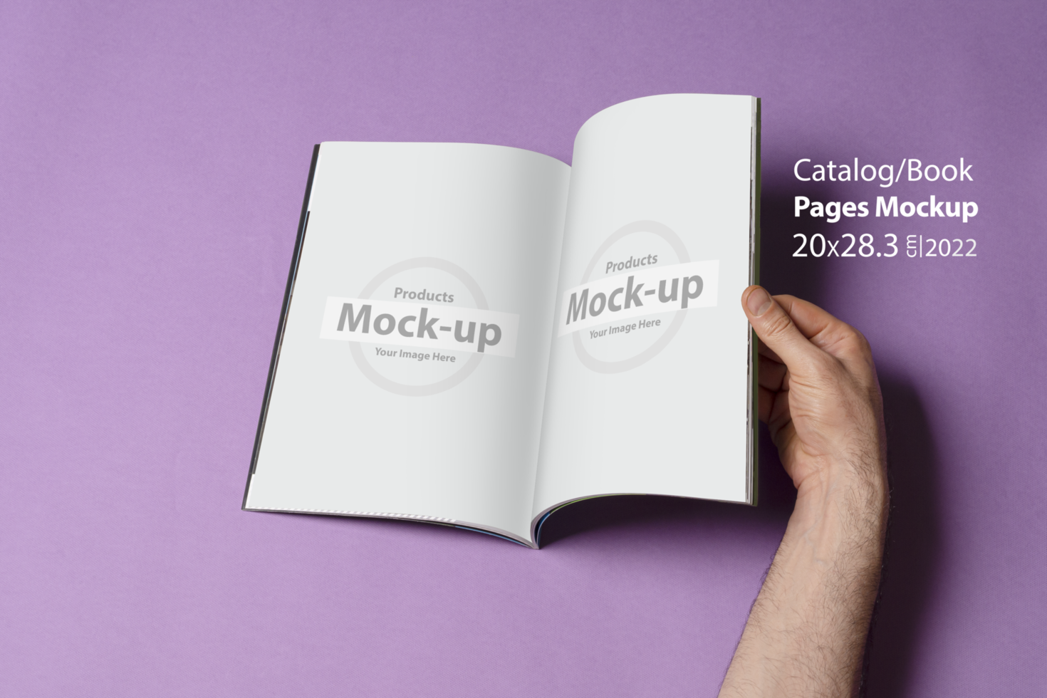 Male hand opened a book-catalog on purple background psd