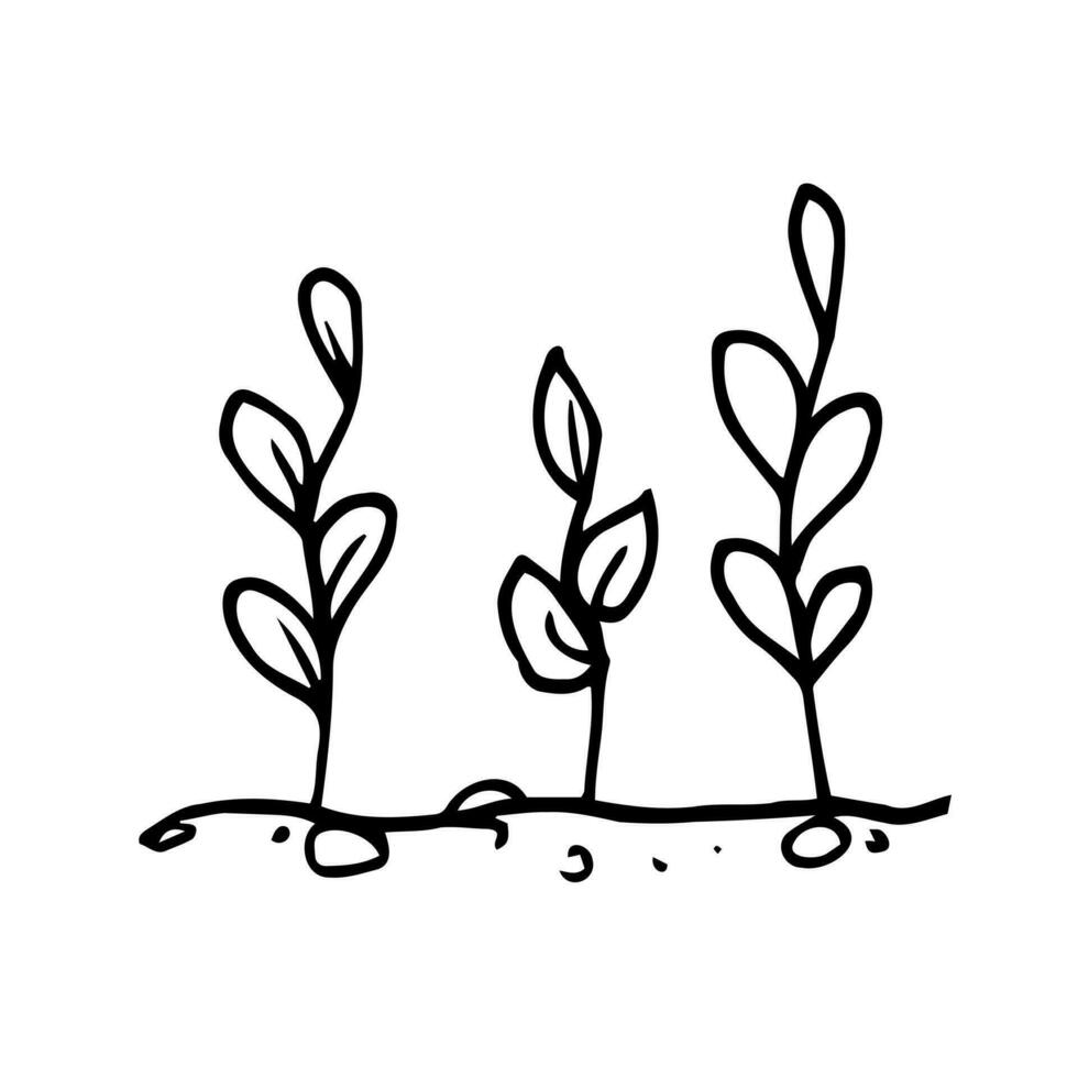 Plant icon outline design vector. nature icon isolated on white background. Hand drawn element for Earth day vector