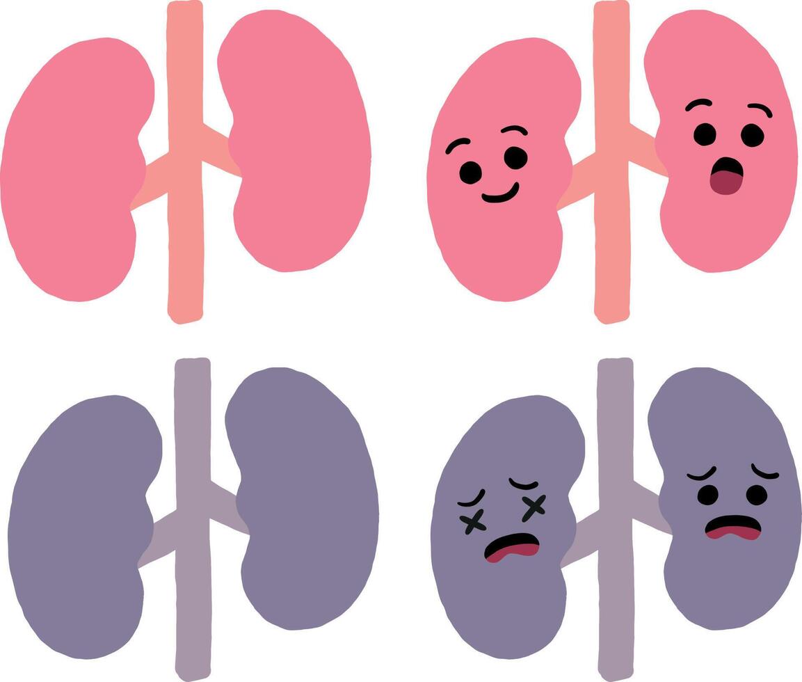 Cartoon kidneys showing emotions vector