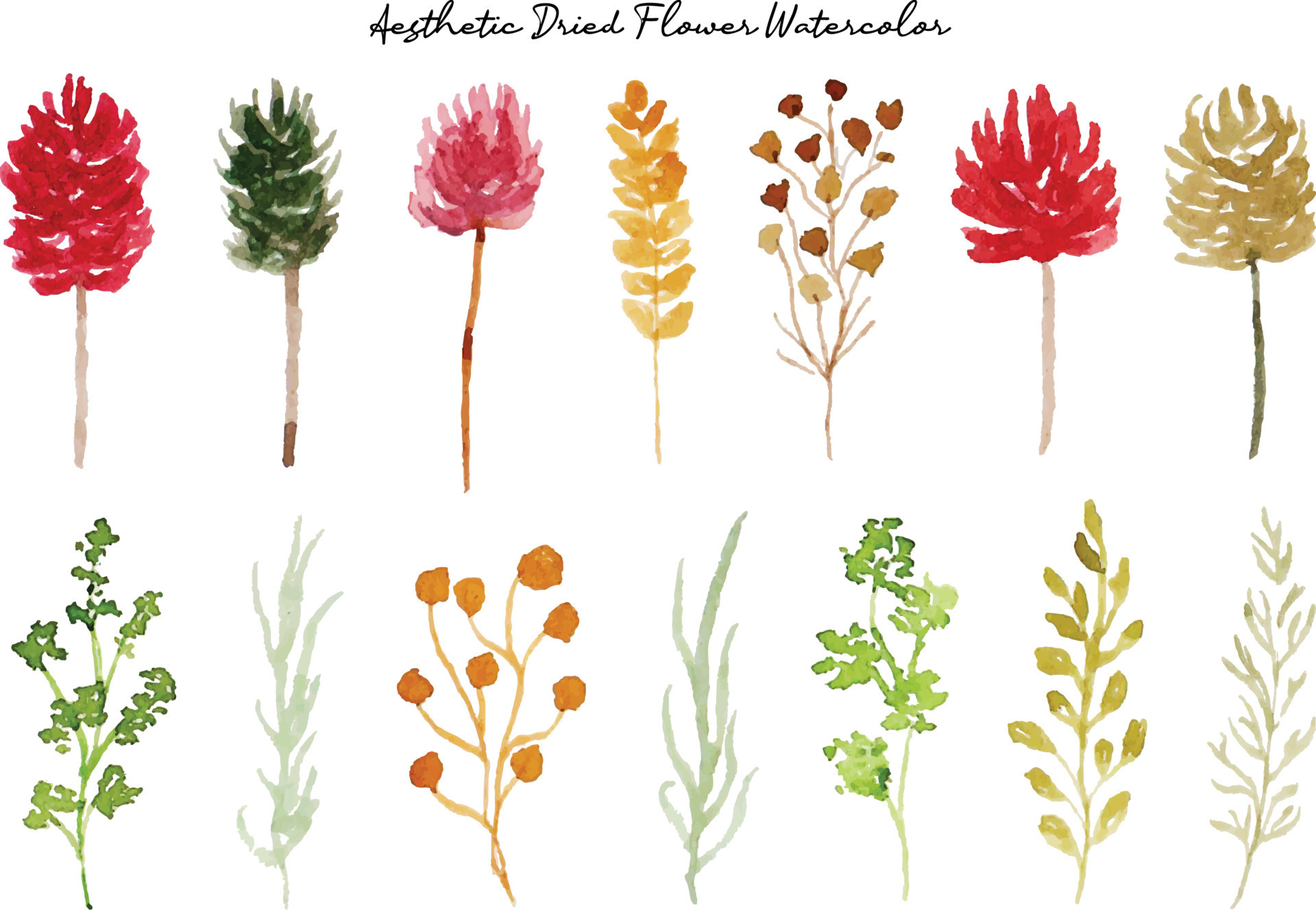 Watercolor Dried Wildflowers Collection