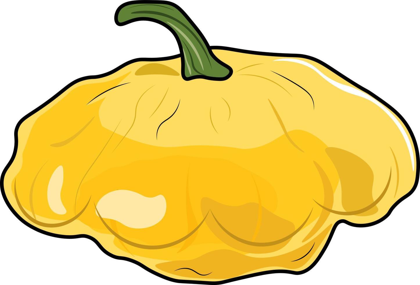 squash ilustración aislado en blanco antecedentes vector