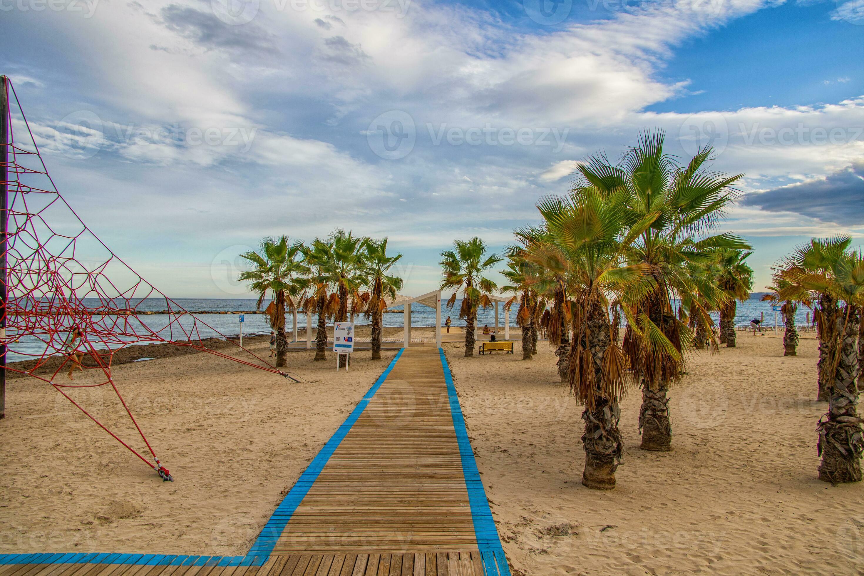 beach in alicante playa del postiguet spain path and palm trees on a