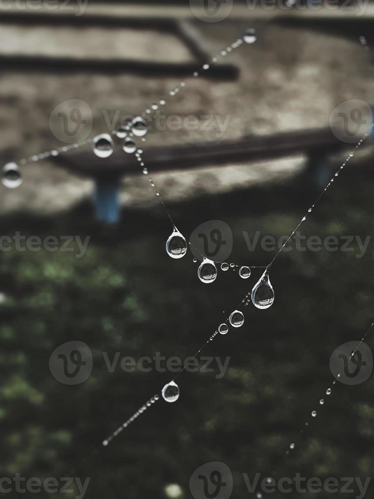 pequeño suave agua gotas en un araña web en un otoño día de cerca al aire libre foto