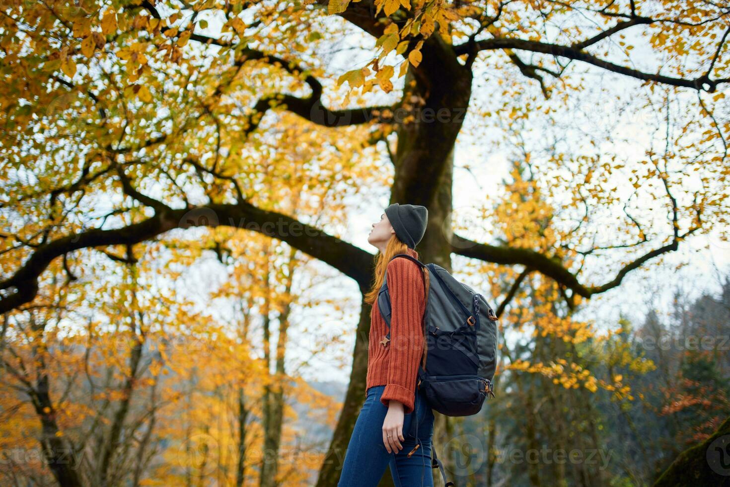 un mujer en un rojo suéter con un mochila camina en un otoño parque en el tarde en naturaleza foto