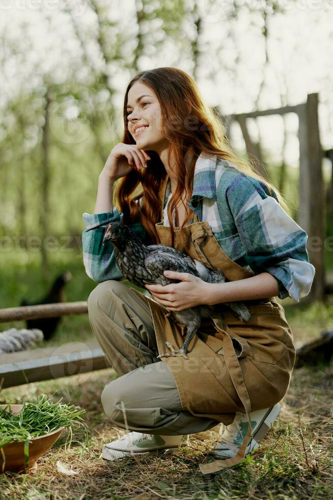 A woman with a smile takes care of the health of a chicken and holds a chicken in her hands while working on a farm in nature feeding the birds organic food photo