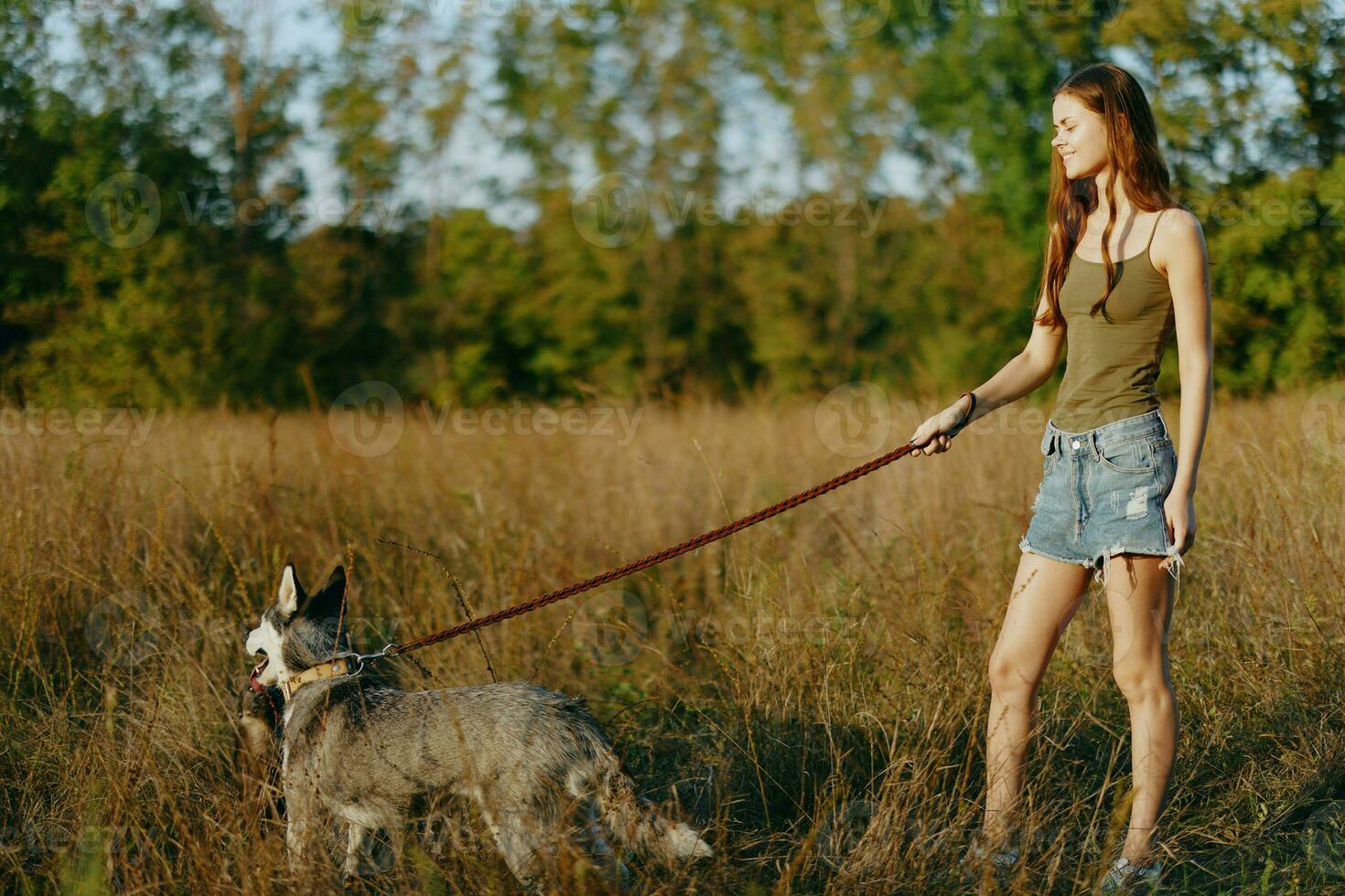 Woman and her husky dog happily walking and running in the grass in the field smile with teeth autumn sunset walk with a pet, traveling with a friend dog happiness photo